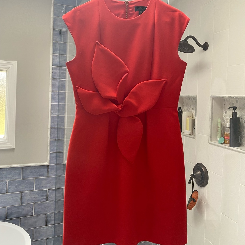 Ted Baker Dress